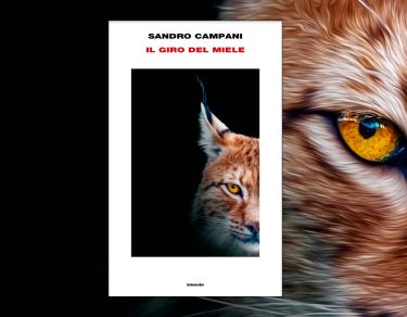 Il giro del miele di Sandro Campani einaudi