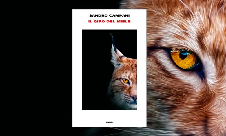 Il giro del miele di Sandro Campani einaudi