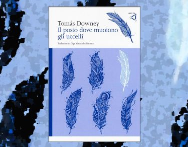Volare sul baratro della morte. Il posto dove muoiono gli uccelli.